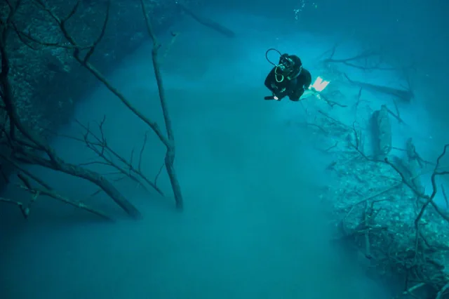 Nube submarina en Cenote Angelita