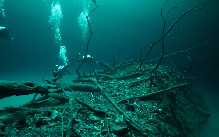 Cenote diving in the Riviera Maya