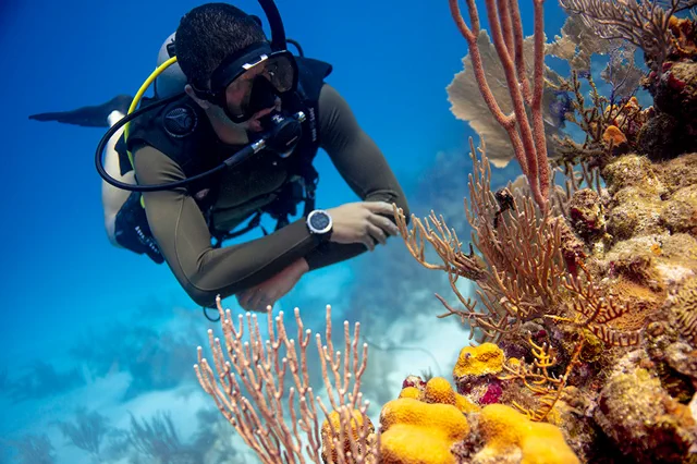 Buzo sobre arrecife de Cozumel