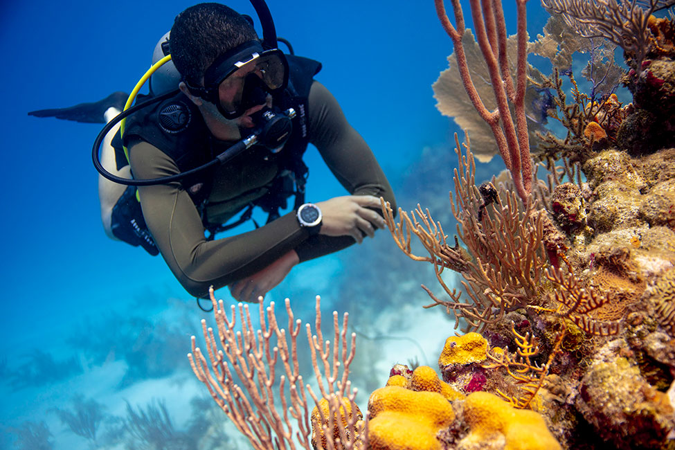 Diver at Palancar Reef Cozumel