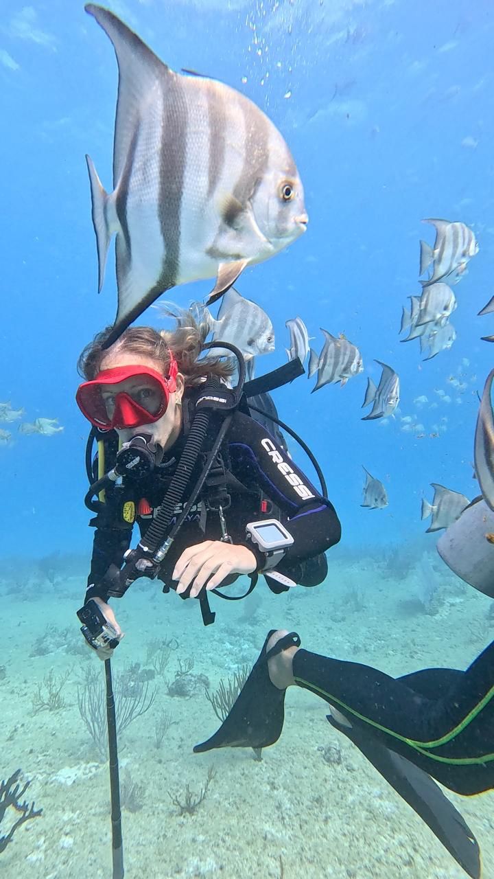 Deep Mexico is a diving specialized tour agency