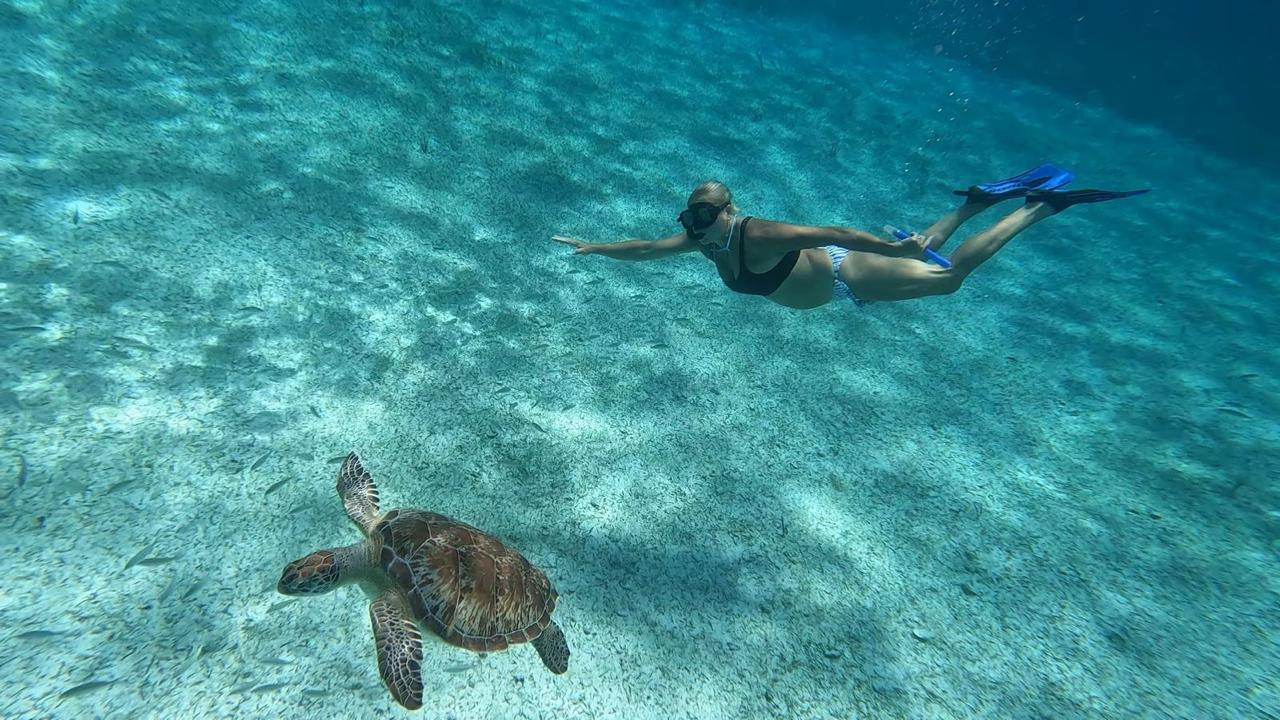 Gran día de esnórquel en el Caribe